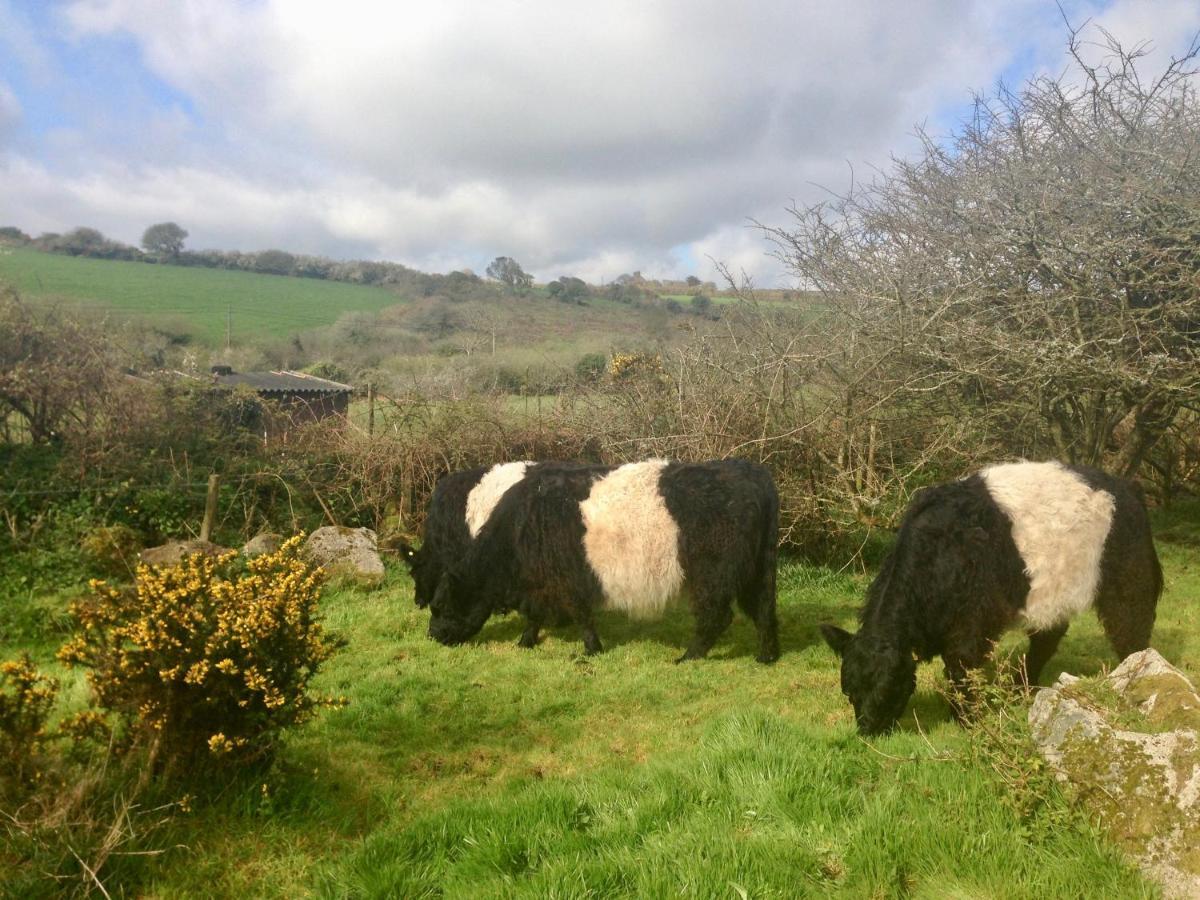 Lower Crankan Farm Penzance Exterior photo